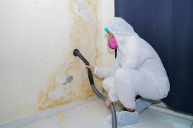 Best Forensic Mold Investigation  in Glen Ellen, CA